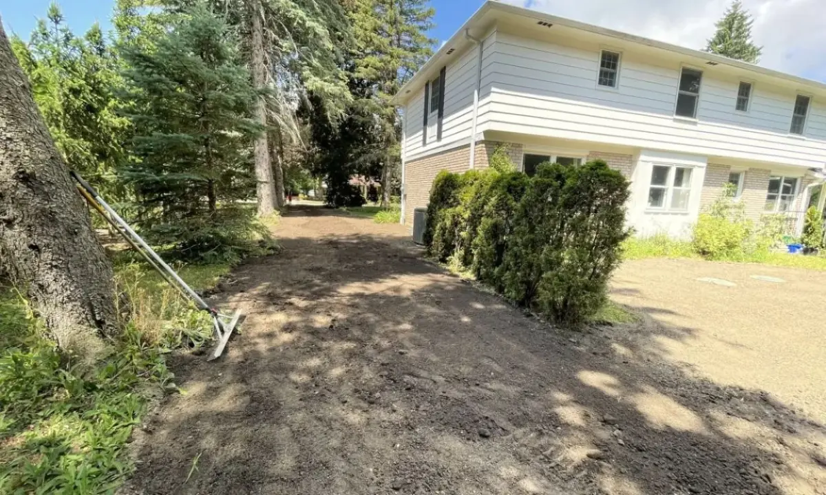 A residential yard in Hamilton showing freshly raked and graded dark soil alongside a house and large trees, prepared for upcoming lawn fertilization and new turf installation.