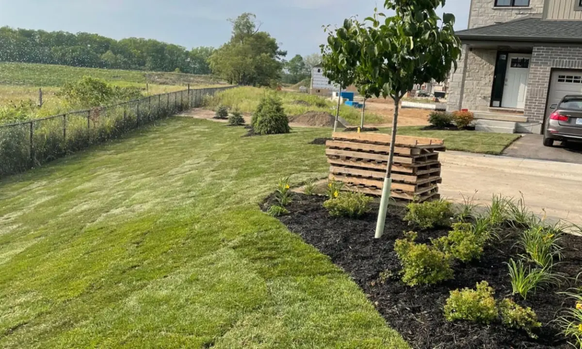 A freshly installed green sod lawn beside a newly mulched garden bed and stacked empty wooden pallets on a driveway, showcasing a complete residential lawn replacement in Hamilton.