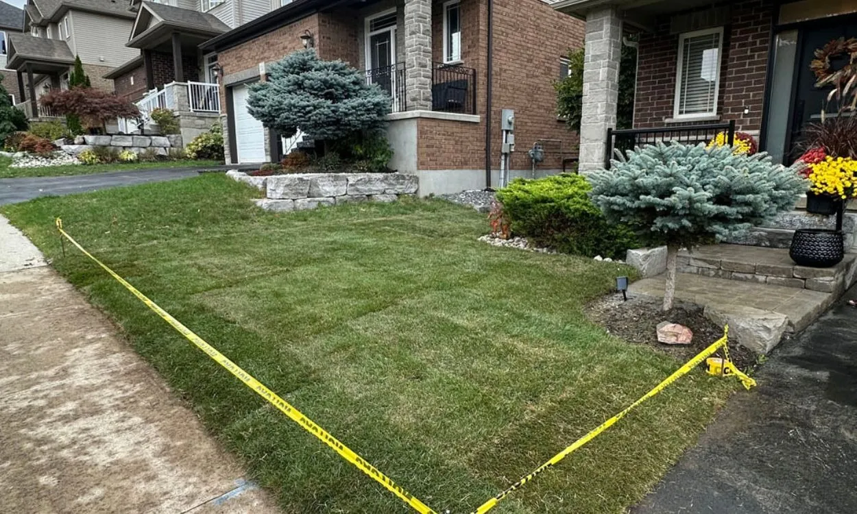 A freshly installed green sod lawn surrounded by yellow caution tape in the front yard of a brick residential home, showcasing a completed lawn resodding project in Hamilton.