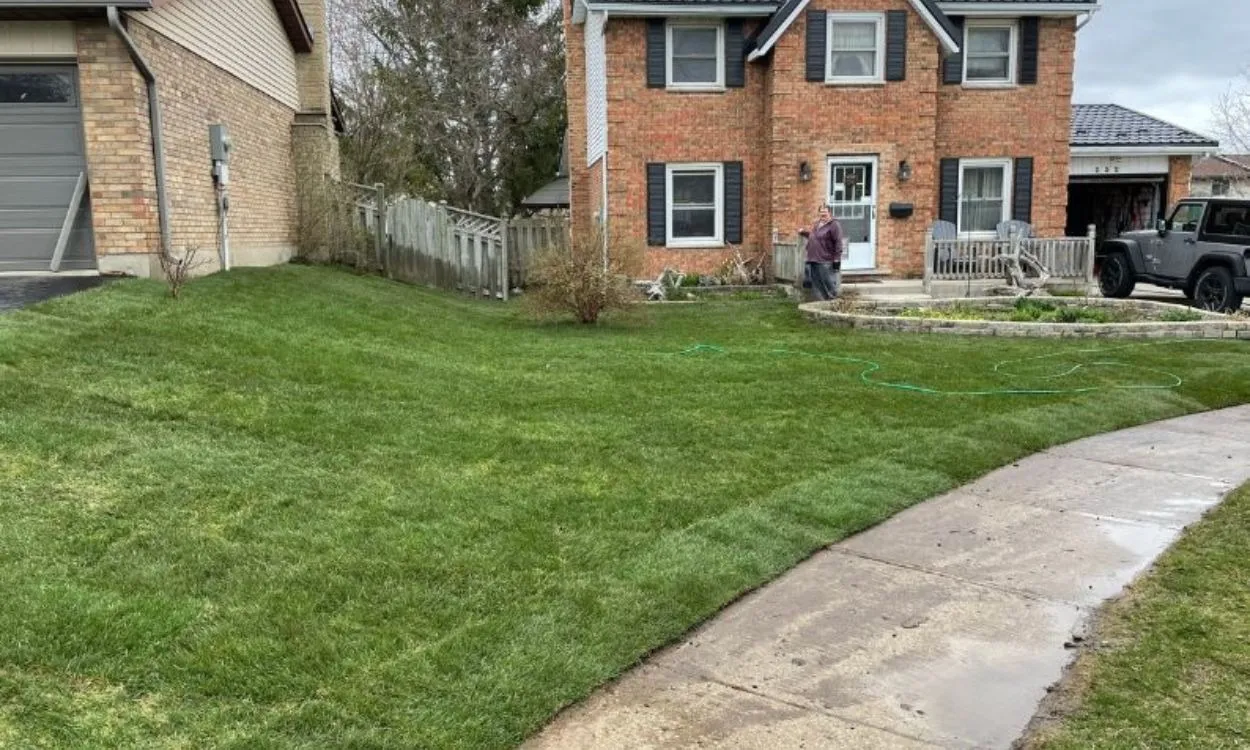 A newly completed lawn resurfacing project featuring fresh green sod in the front yard of a two-story brick residential home in Hamilton, with a green watering hose laid across the grass.