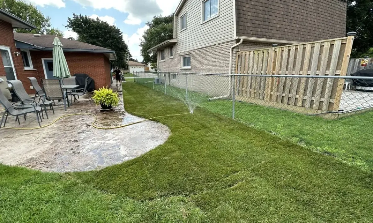 A sprinkler actively performing lawn watering on freshly installed green sod in a residential Hamilton backyard, with a yellow hose stretched across a wet concrete patio.