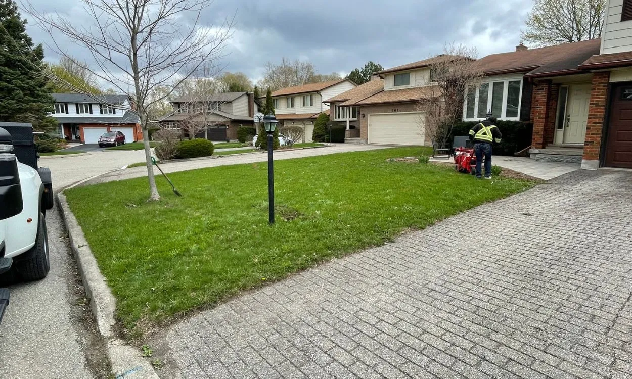 A landscaping contractor wearing a high-visibility vest operating a sod cutter machine on a residential front lawn beside an interlocking stone driveway during a lawn replacement project in Hamilton.