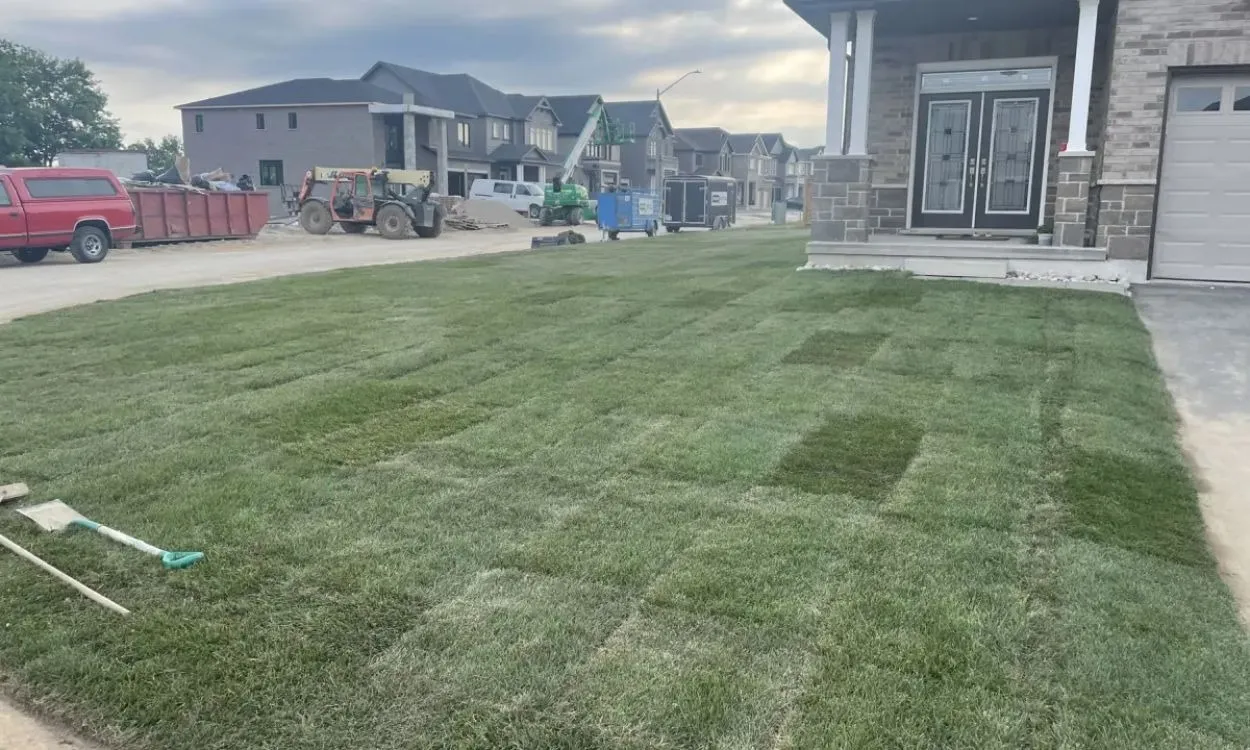 A freshly laid green sod lawn over newly prepped soil in the front yard of a new brick home in a Hamilton subdivision, with two shovels resting on the grass.
